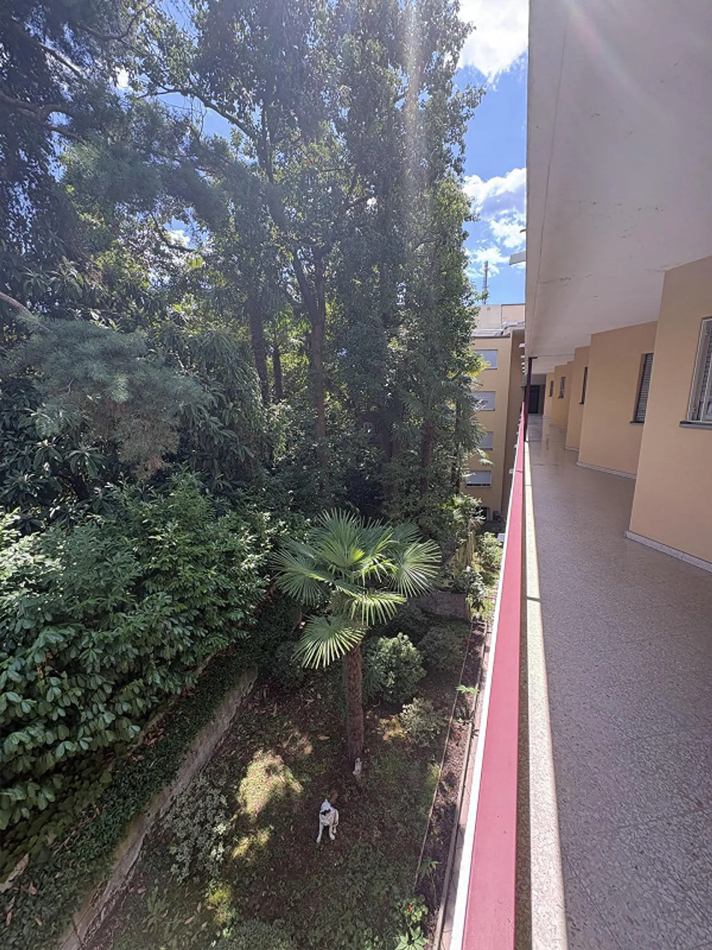 Muralto - Vicino al lago - Trasferisciti con la valigia - Foto 17 di 18