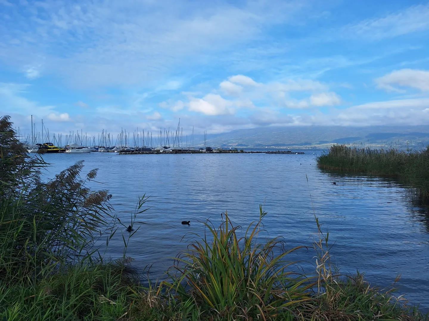 Single house for sale - Photo 1 of 2