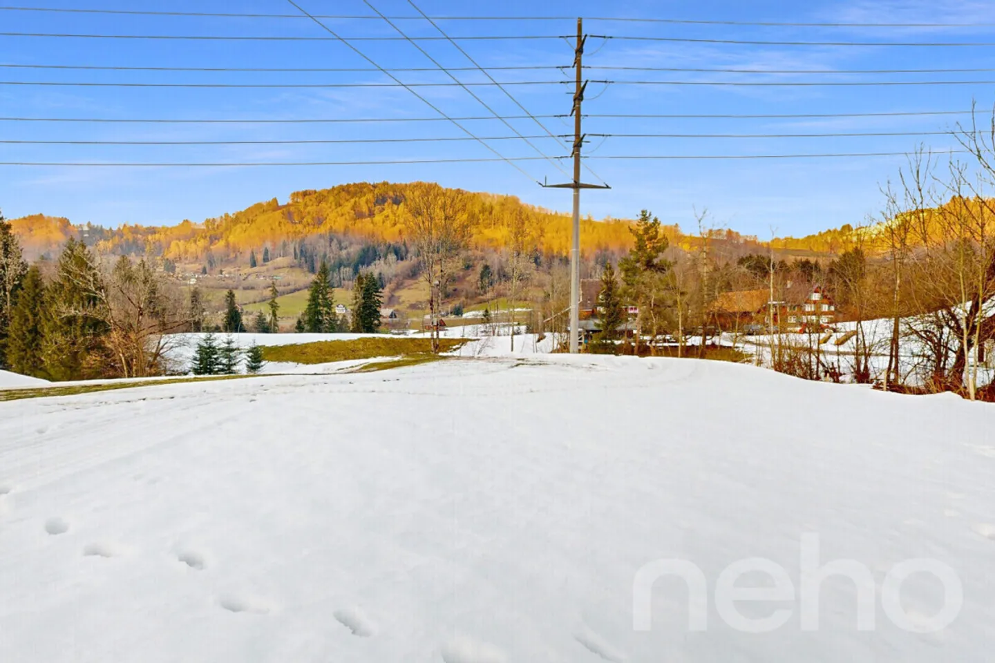 Exklusives Einfamilienhaus-Projekt - Foto 4 von 10