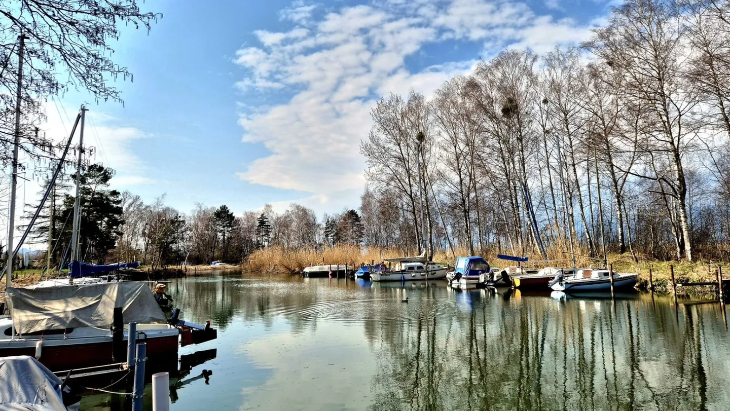 Cheyres - Chalet de plain-pied - Photo 4 sur 15