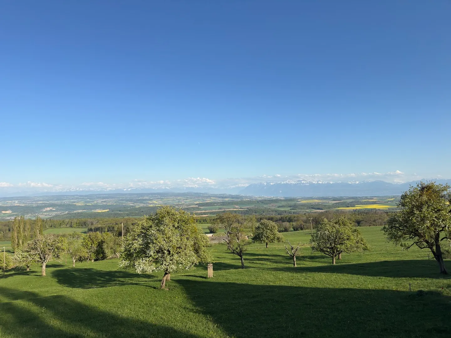 The charm of a farm, the comfort of the new! - Photo 10 of 10
