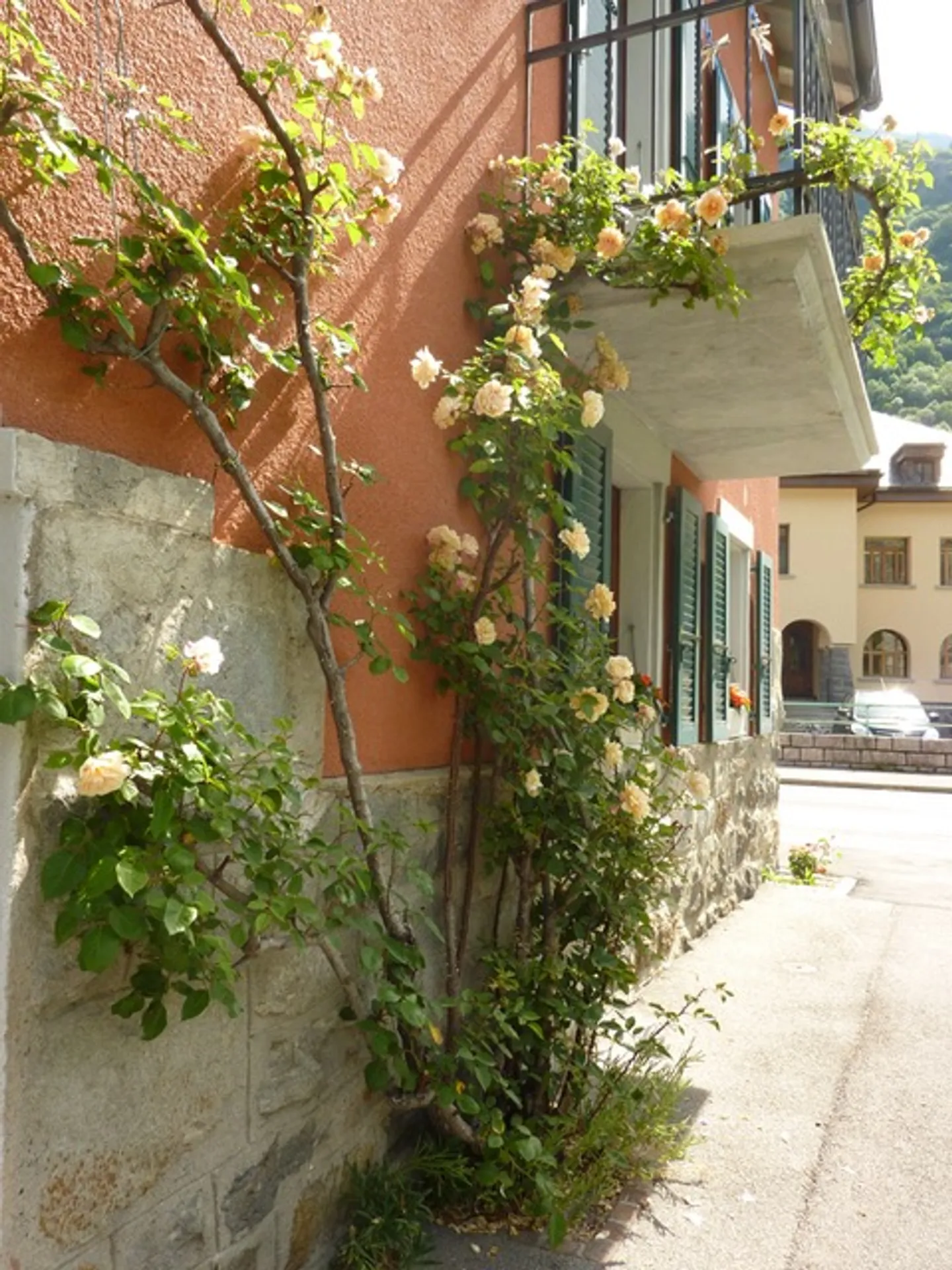 Duplex 5,5 stanze - Foto 2 di 14
