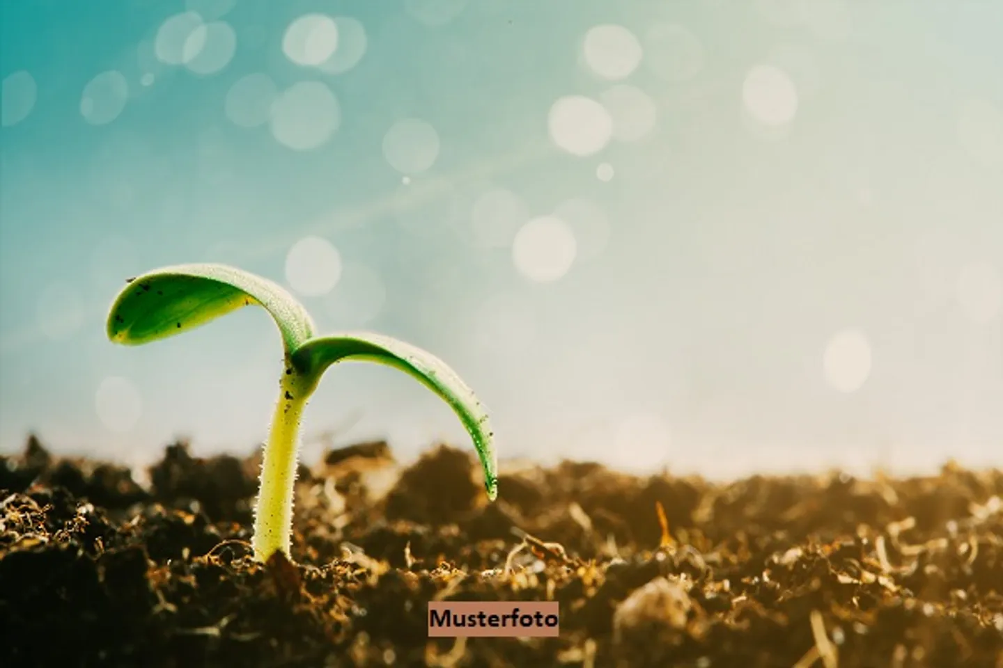 Terrain Viticole aux Enchères - Photo 1 sur 13