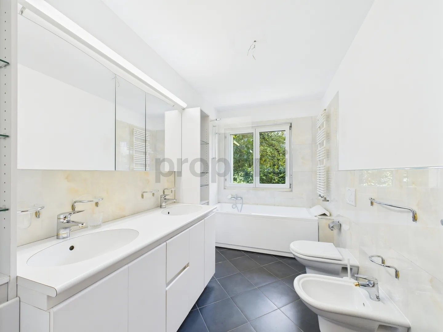 Bright 4.5-Room Apartment with Garden in Morcote - Photo 9 of 13