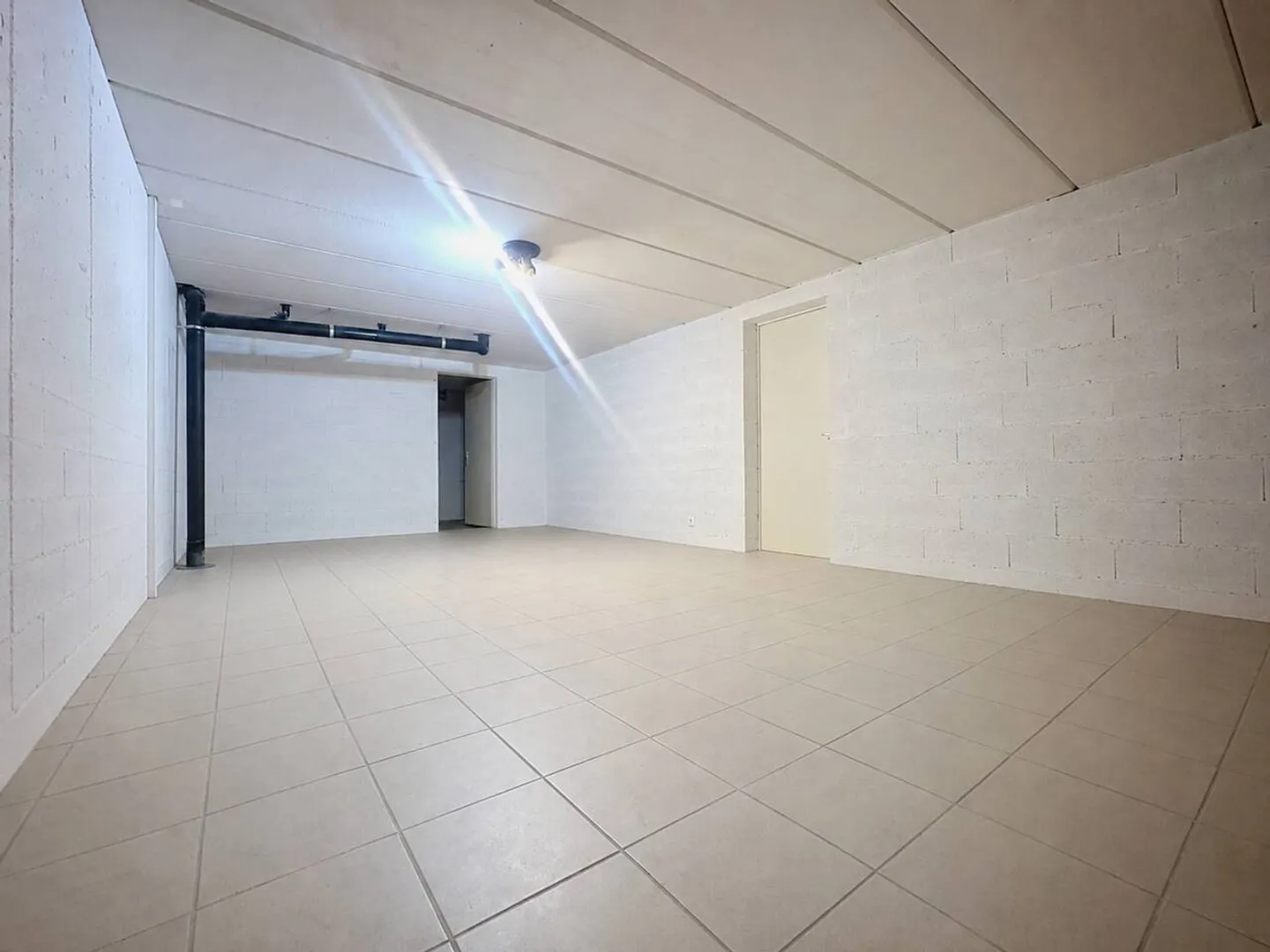 Individual villa with 4.5 rooms and independent studio - Photo 10 of 13