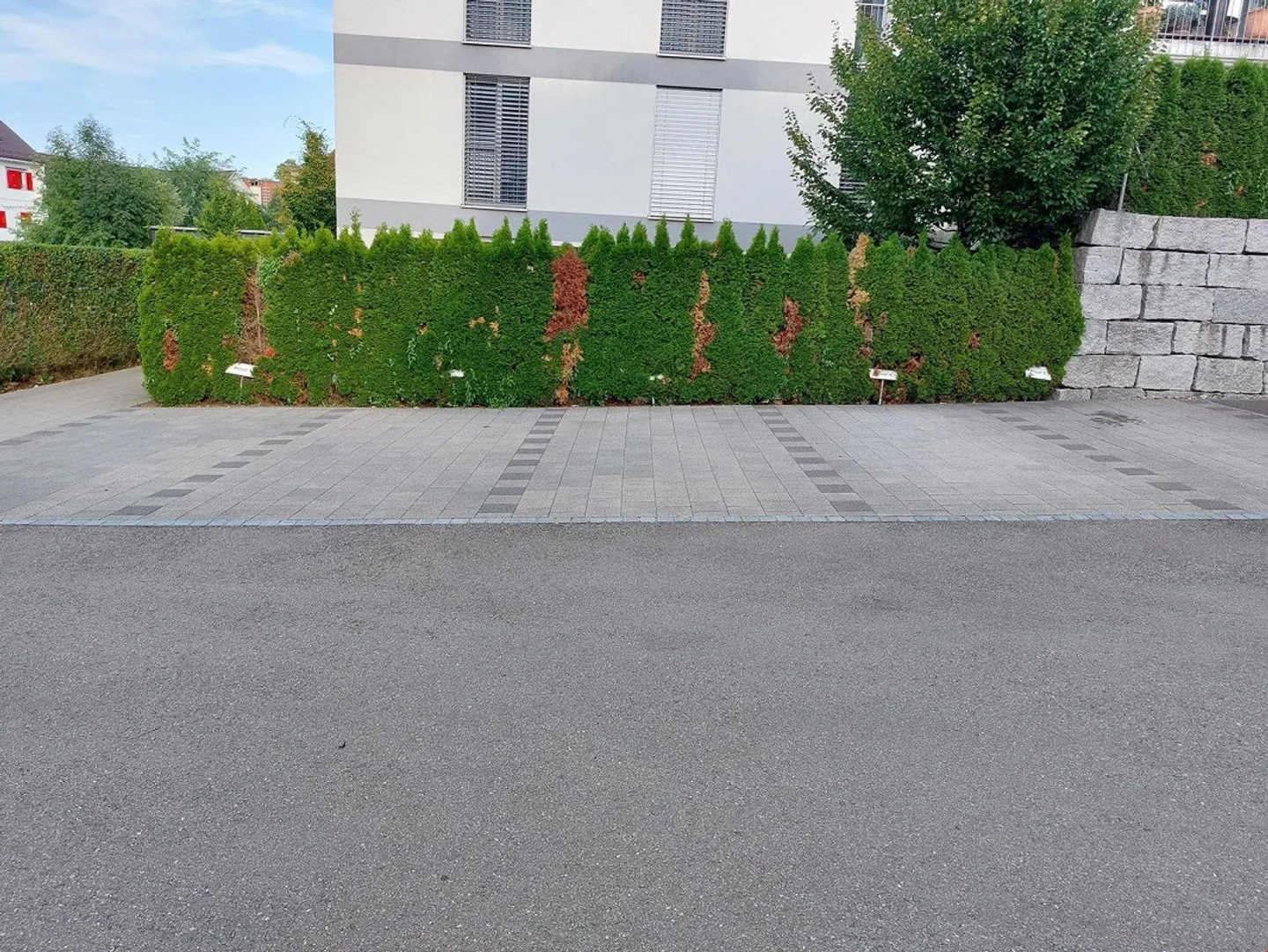 Parcheggio in una posizione centrale - Foto 2 di 2
