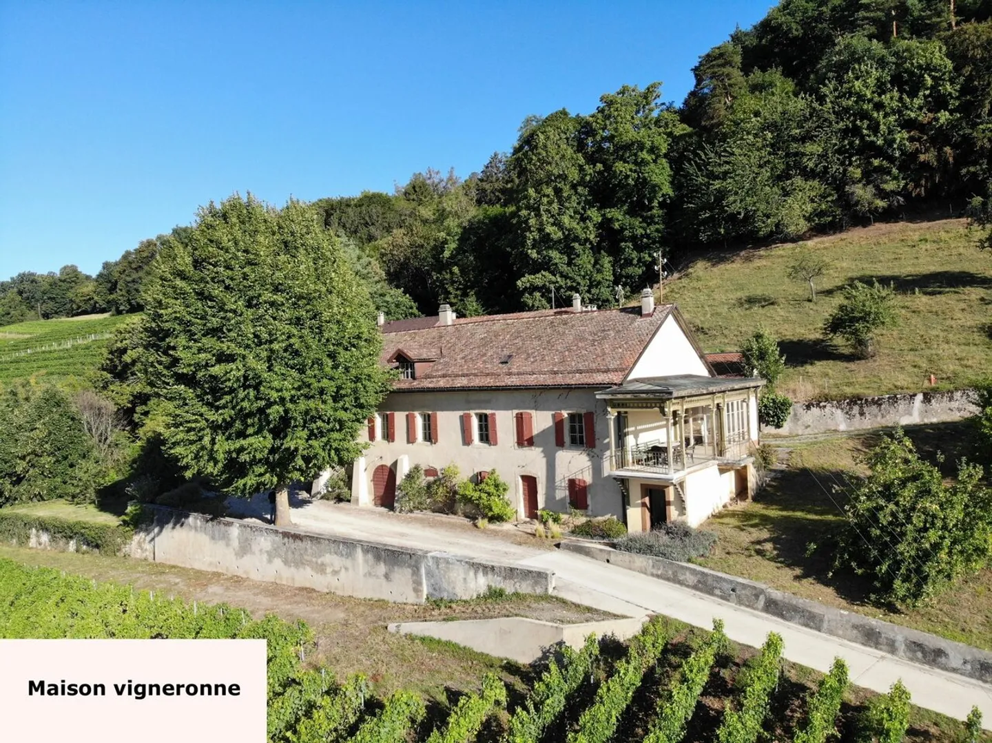 Luins? Weingut mit Wald, atemberaubendem Seeblick - Foto 8 von 9