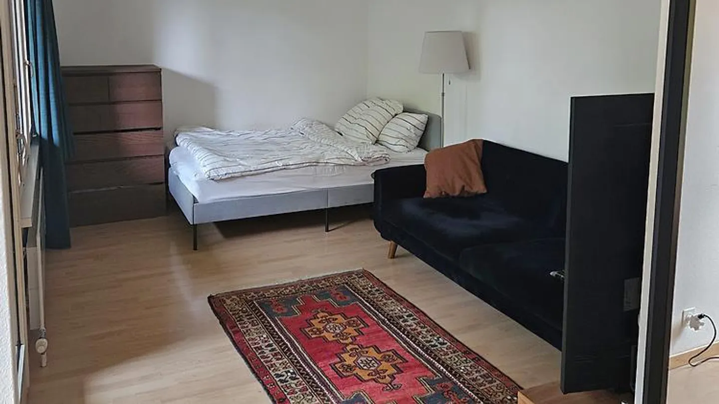 APPARTEMENT 1 PIÈCE À ZURICH - DISTRICT 7 HOTTINGEN, MEUBLÉ, TEMPORAIRE - Photo 1 sur 4