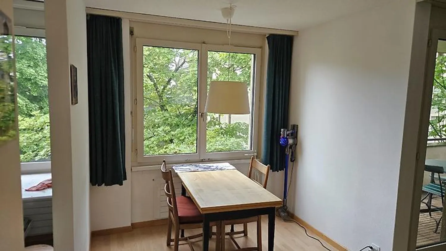 APPARTEMENT 1 PIÈCE À ZURICH - DISTRICT 7 HOTTINGEN, MEUBLÉ, TEMPORAIRE - Photo 2 sur 4