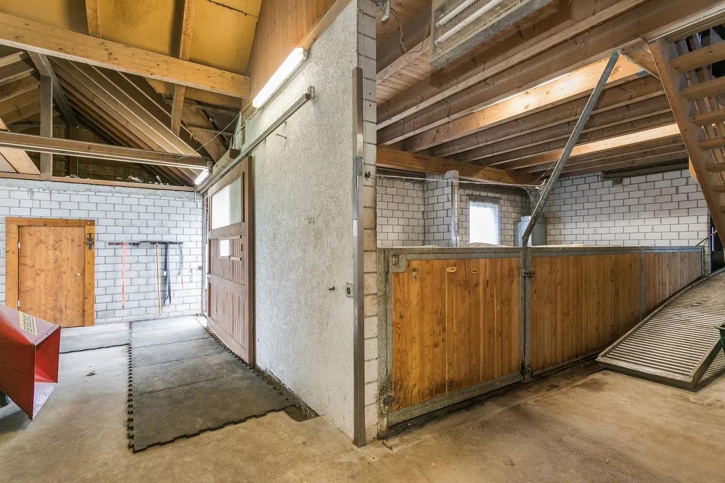 RIDUZIONE DEL PREZZO - Proprietà equestre compatta con un'alta qualità di vita per te e i tuoi cavalli - Foto 9 di 11