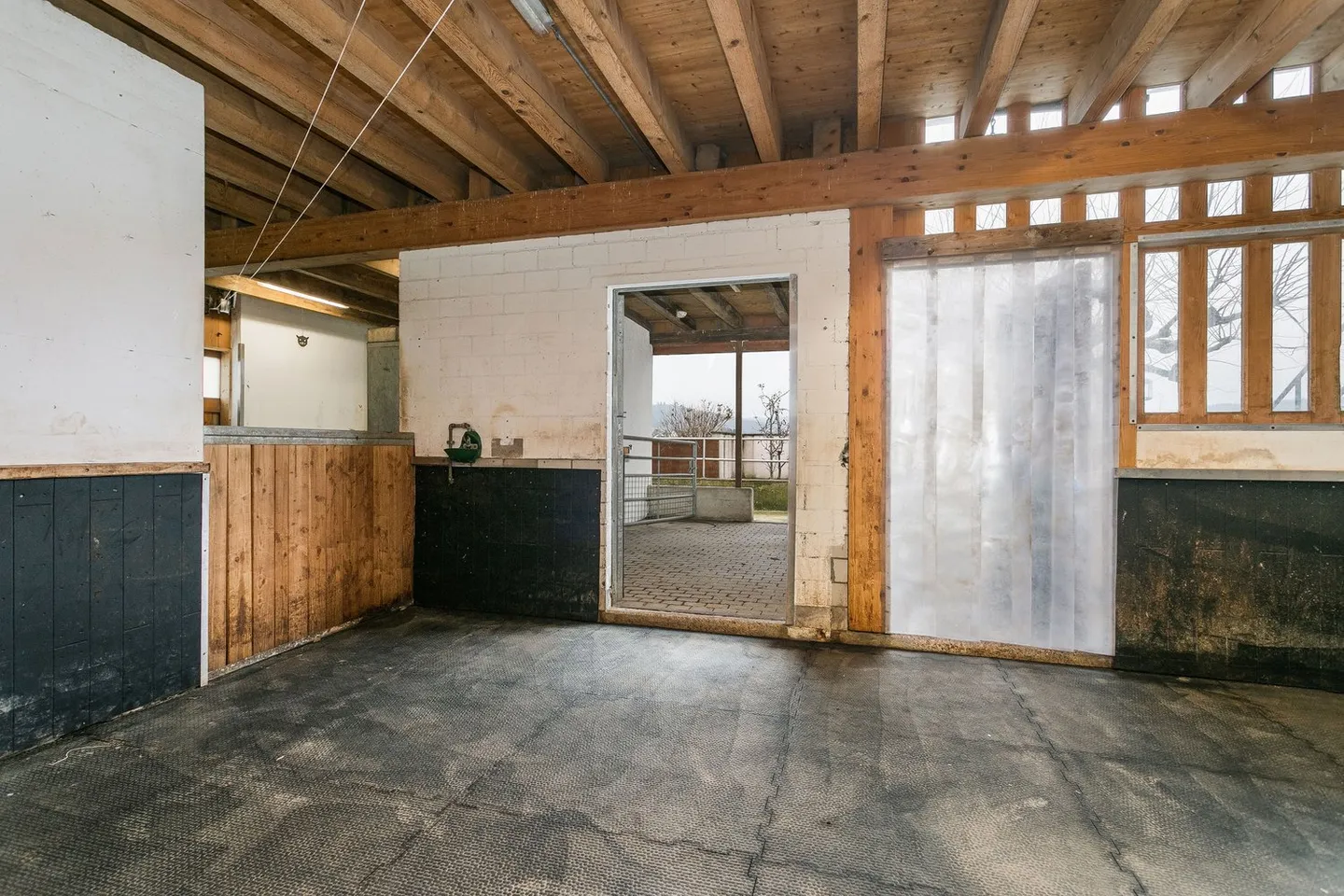 RIDUZIONE DEL PREZZO - Proprietà equestre compatta con un'alta qualità di vita per te e i tuoi cavalli - Foto 10 di 11