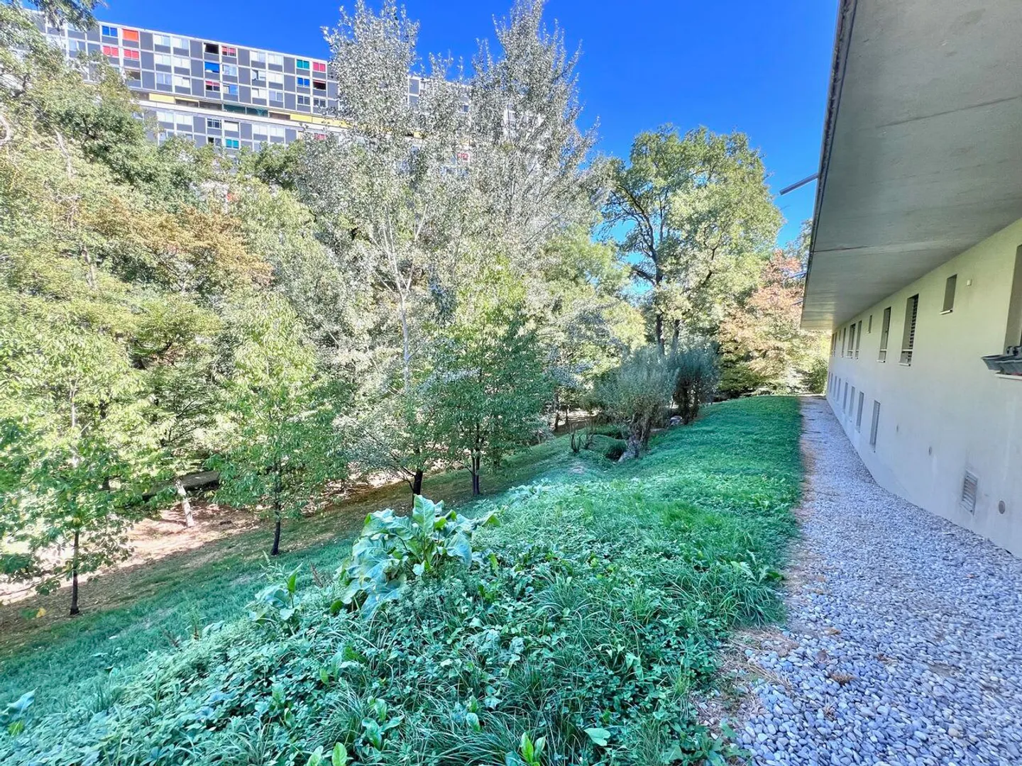 Large duplex apartment on garden level, Minergie building - Photo 13 of 13