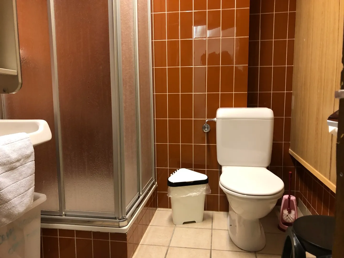 Appartamento 5.5 stanze - Foto 9 di 13