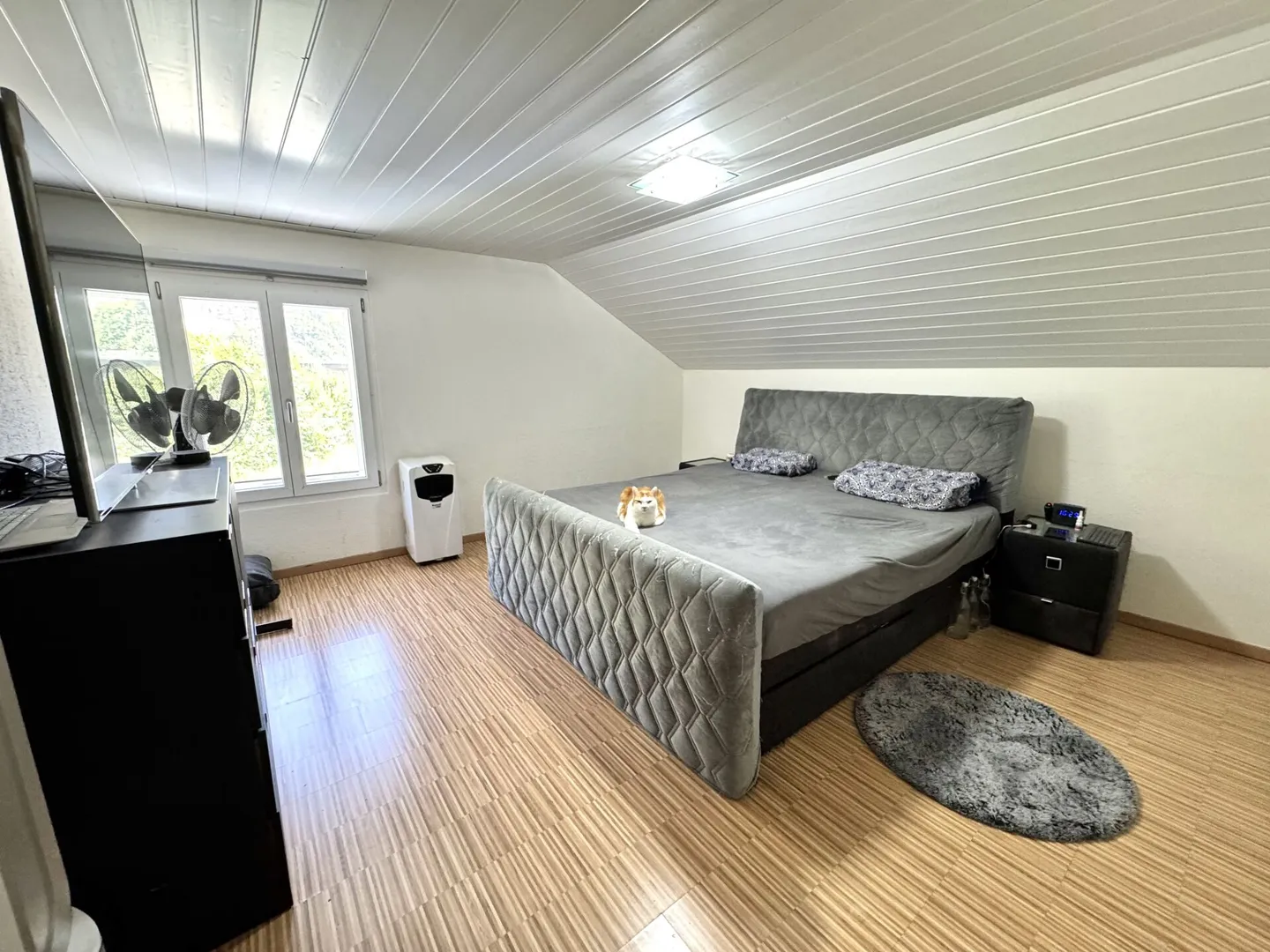 Casa unifamiliare di 5,5 stanze con molto spazio circostante - Foto 5 di 9