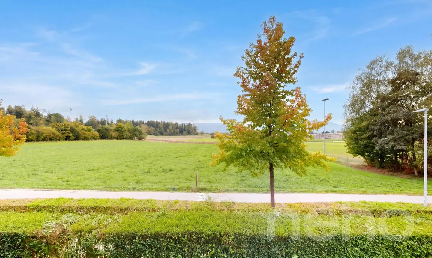 Living in the first row with unobstructed views of greenery - Photo 3 of 11