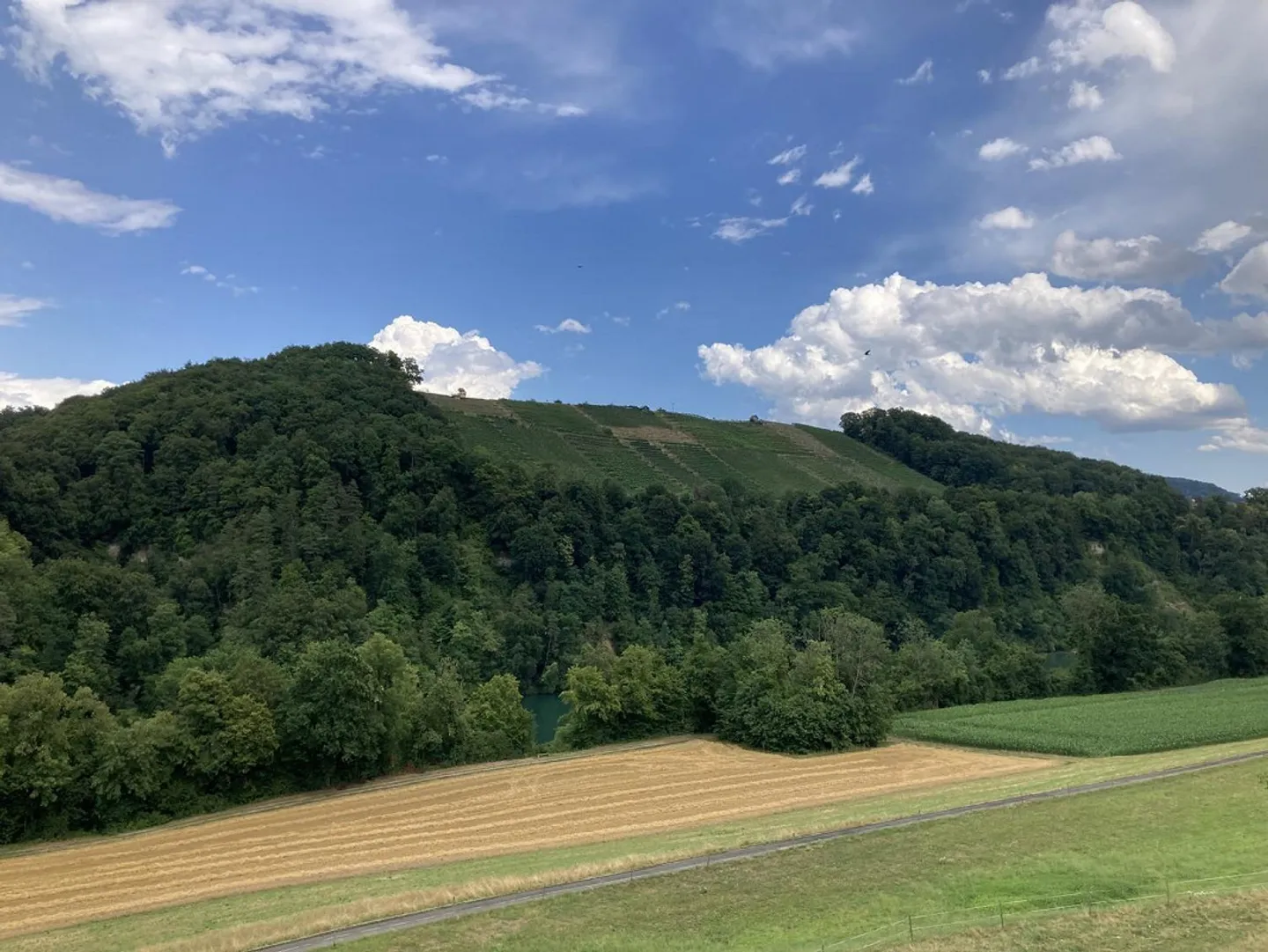 Luminoso appartamento di 4½ stanze con bella vista sul Reno - Foto 4 di 13