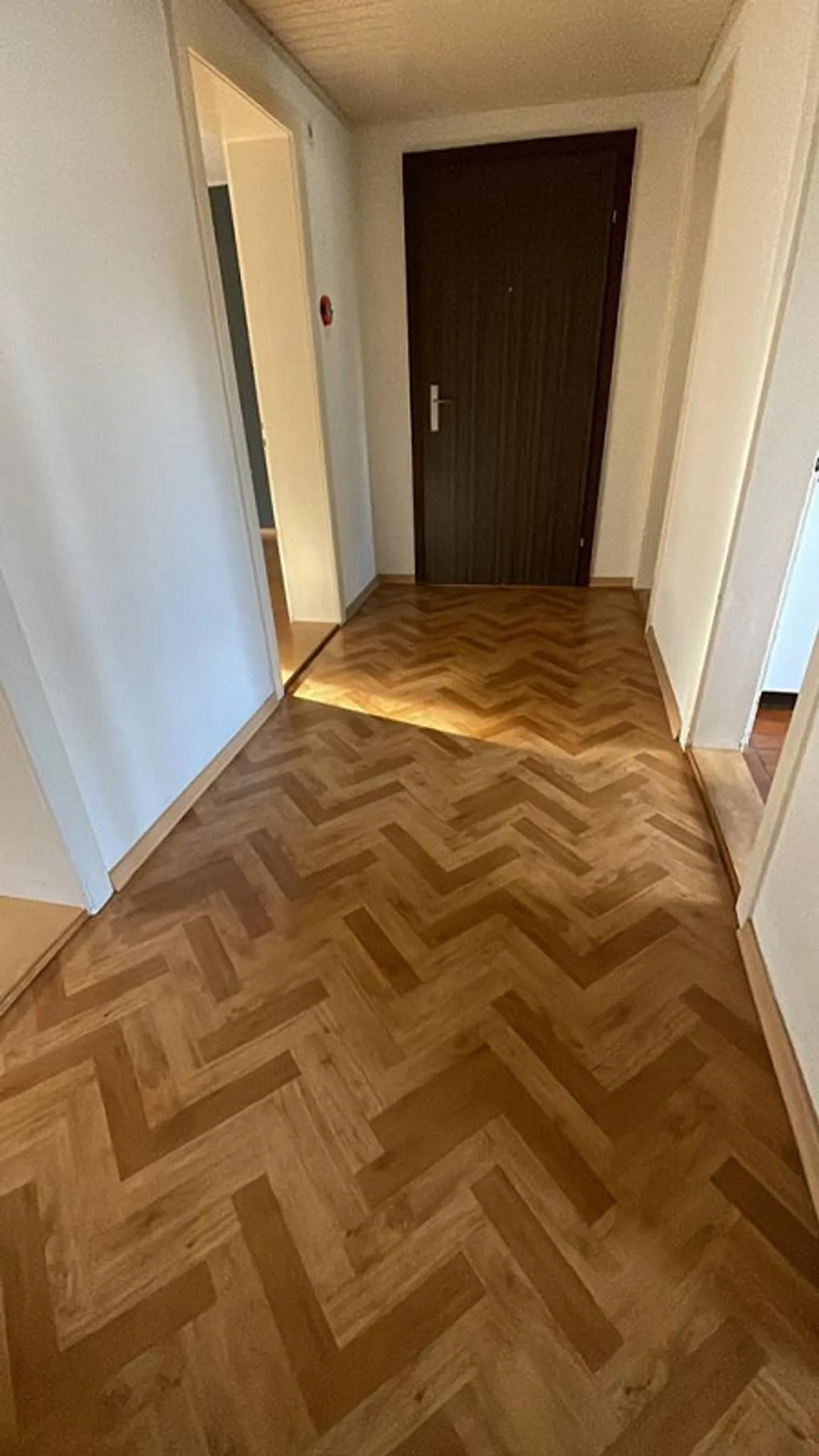 Charmante Wohnung in Zürich - Foto 3 von 9