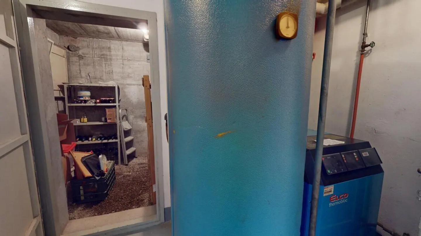 Vue imprenable sur le lac et les montagnes - Photo 15 sur 15