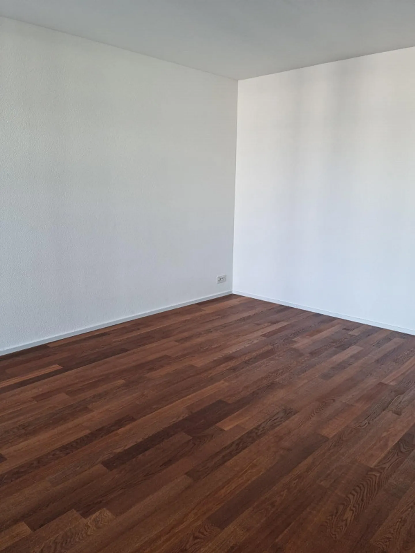 Appartamento moderno di 2,5 locali in affitto dal 1° aprile - Foto 8 di 10