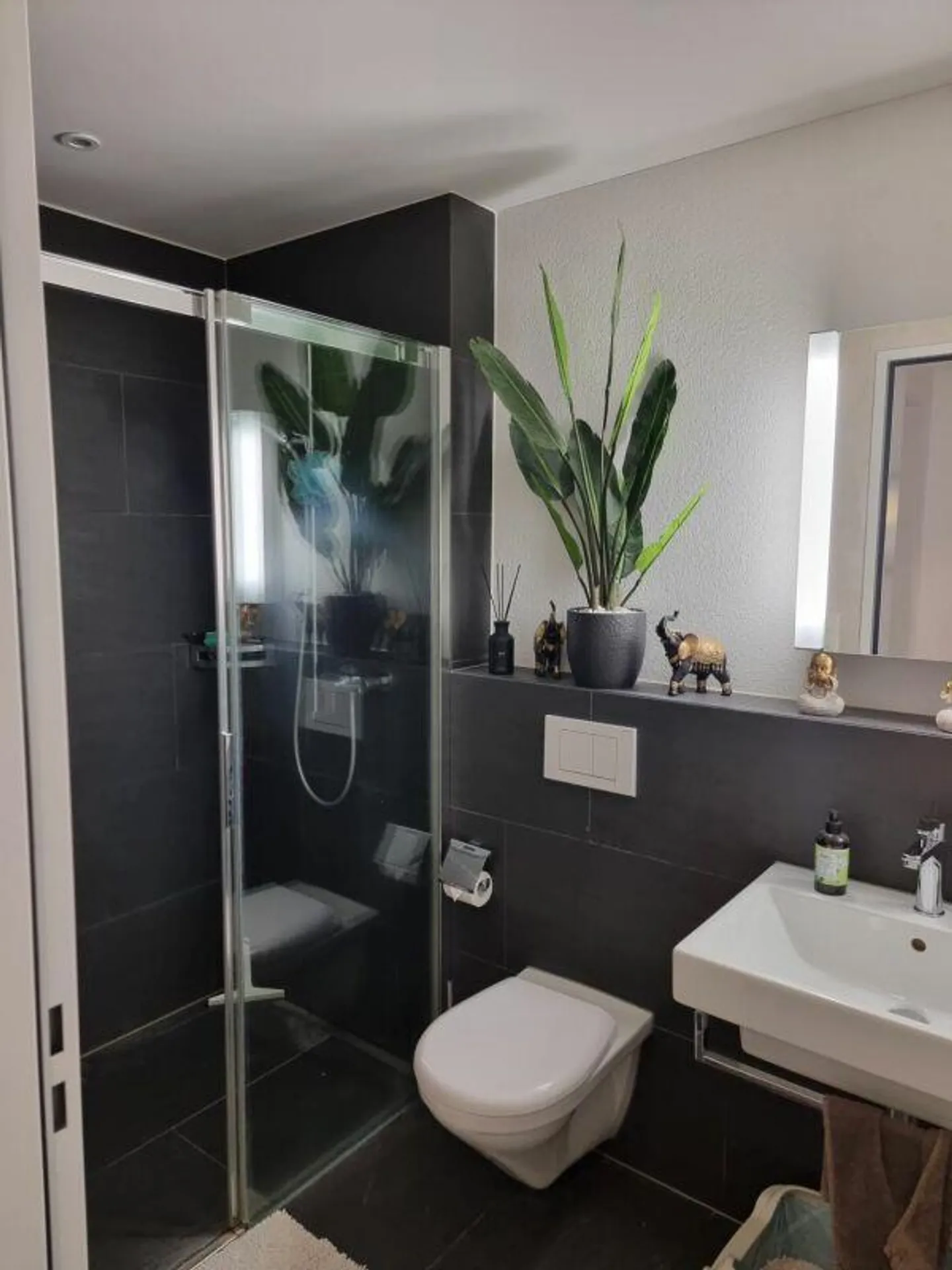 Rêve de jardin - Appartement 4.5 pièces avec jardin à Wagen recherché ? - Photo 12 sur 16