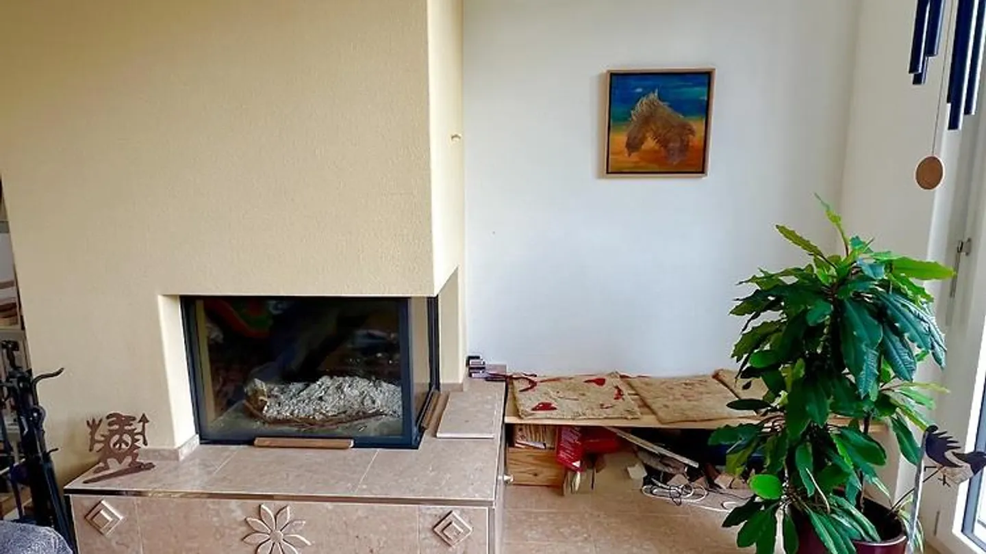 4 ZIMMER-HAUS IN THERWIL (BL), MÖBLIERT, TEMPORÄR - Photo 5 of 9