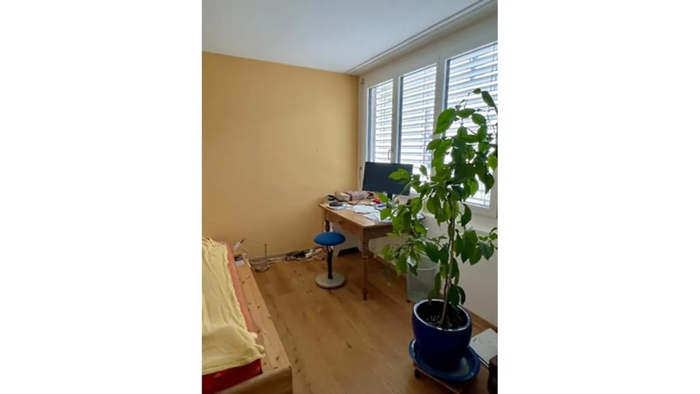 4 ZIMMER-HAUS IN THERWIL (BL), MÖBLIERT, TEMPORÄR - Photo 7 of 9