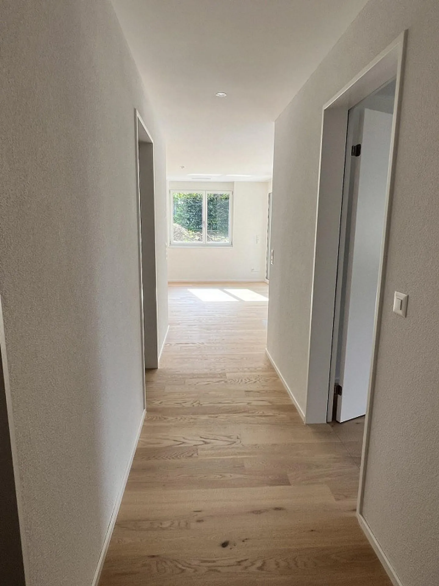 «Baumpark»  Wohnen in parkartiger Landschaft in Pfäffikon ZH - Foto 9 von 12