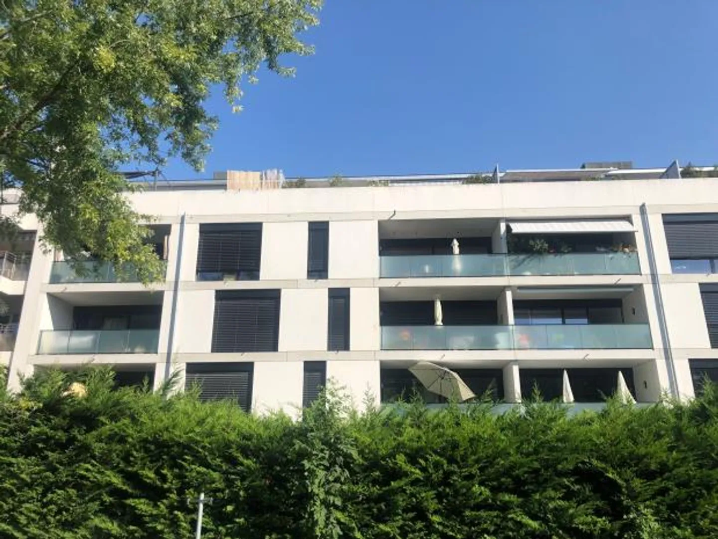 Open space - Photo 3 of 3