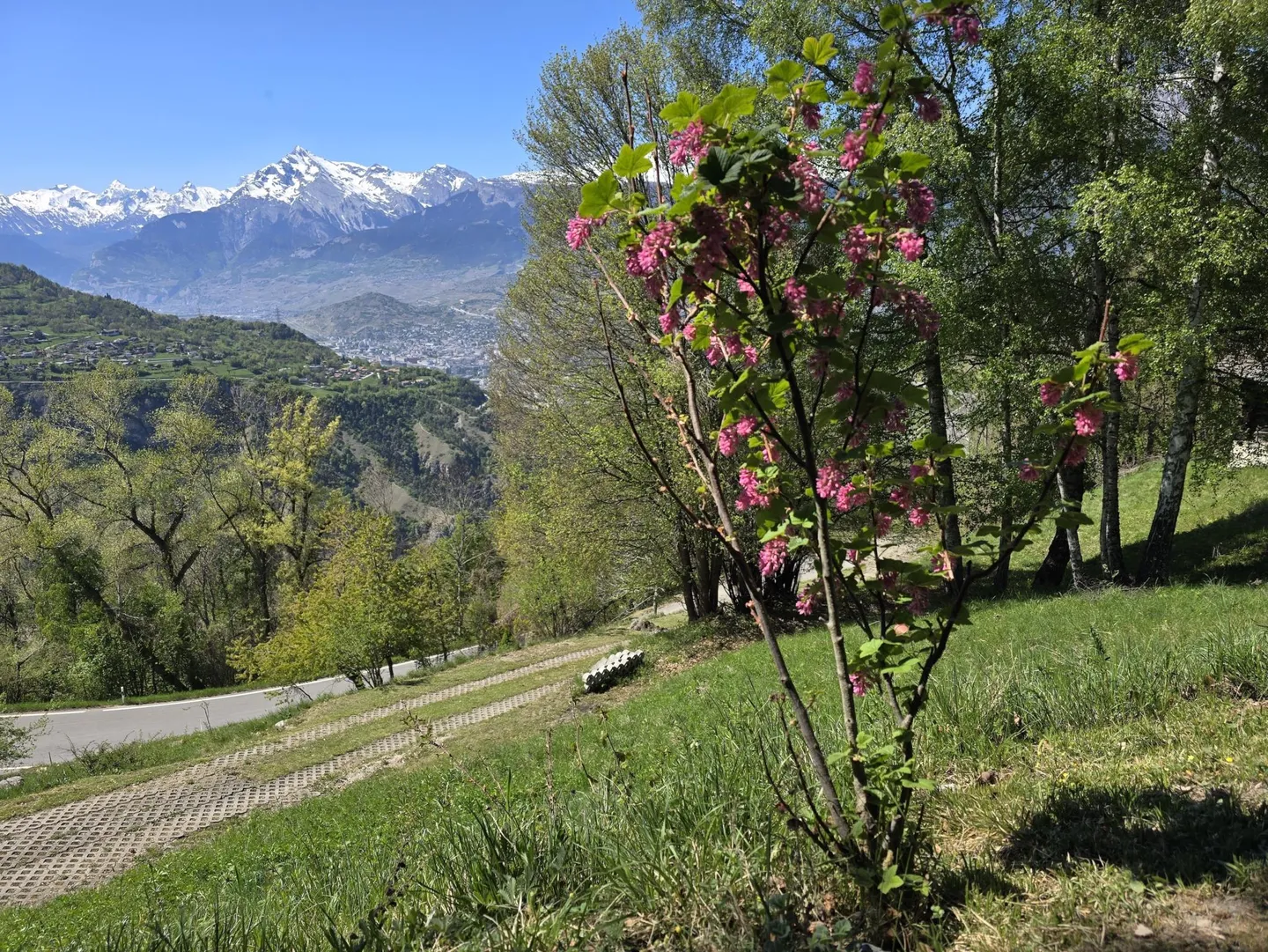 Chalet authentique avec 5,5 chambres, abri en bois, grange et cave à vin sur un grand terrain à Val d'Hérens - Photo 10 sur 11