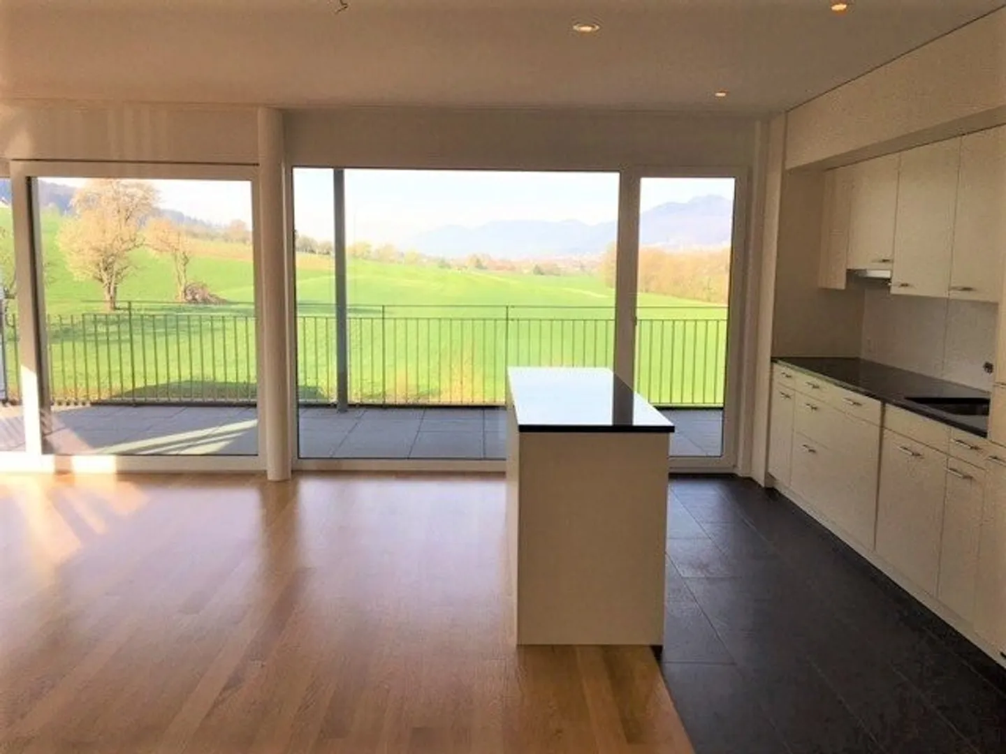 Bellissimo appartamento di 4,5 stanze nella periferia verde - Foto 3 di 9