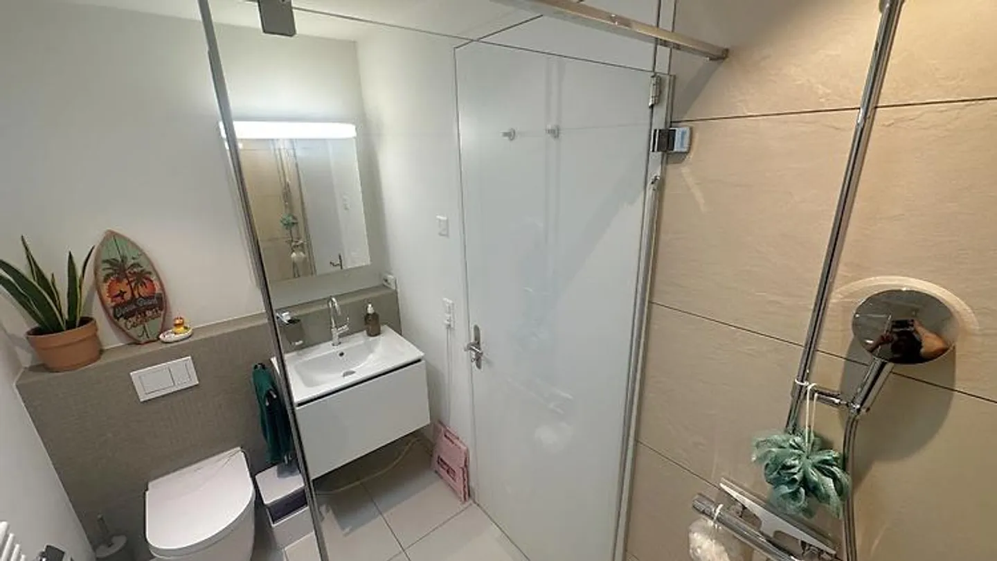 3½ ZIMMER-ATTIKAWOHNUNG IN ZÜRICH - KREIS 10 HÖNGG, MÖBLIERT, TEMPORÄR - Photo 8 of 10