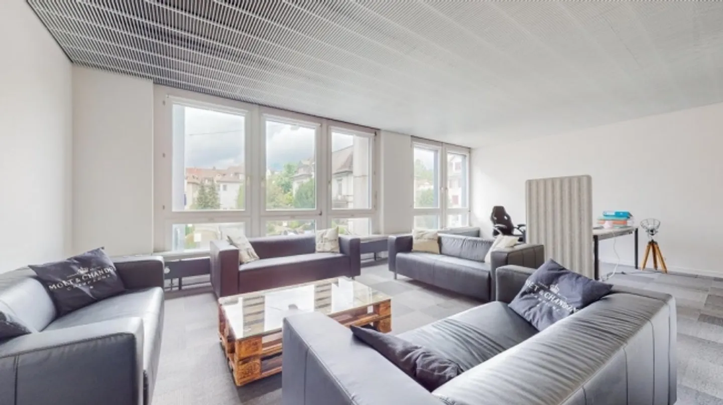 Votre nouvel emplacement central à Olten - Photo 3 sur 11