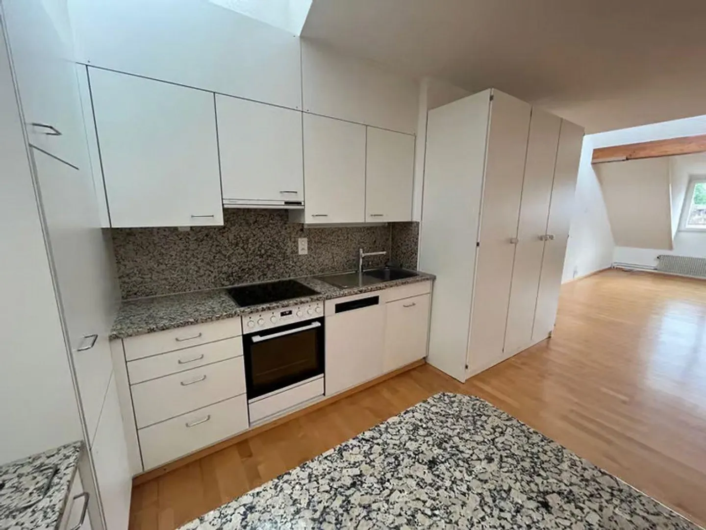 Above the rooftops of Zurich - Photo 4 of 12