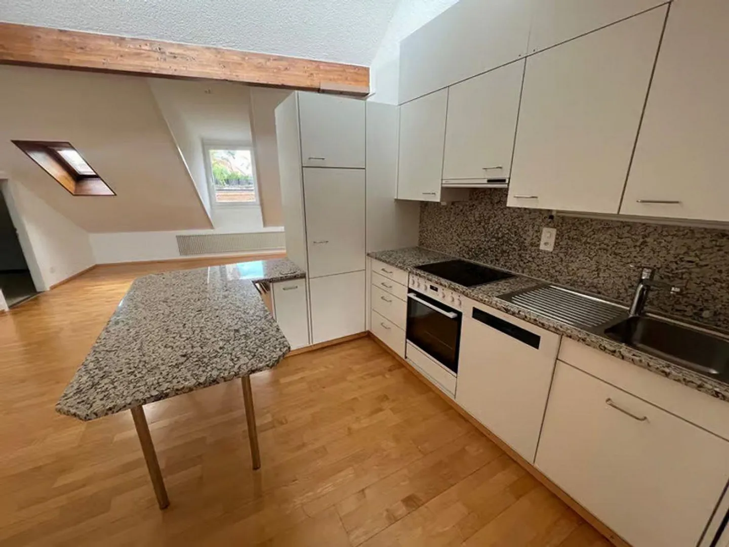 Above the rooftops of Zurich - Photo 5 of 12