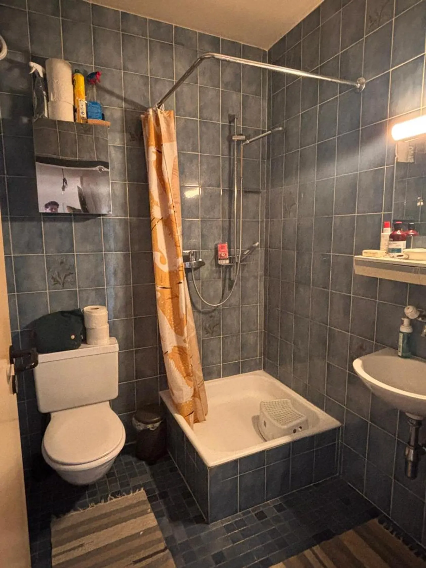 5-room apartment ideally located near the Arve - Photo 4 of 7