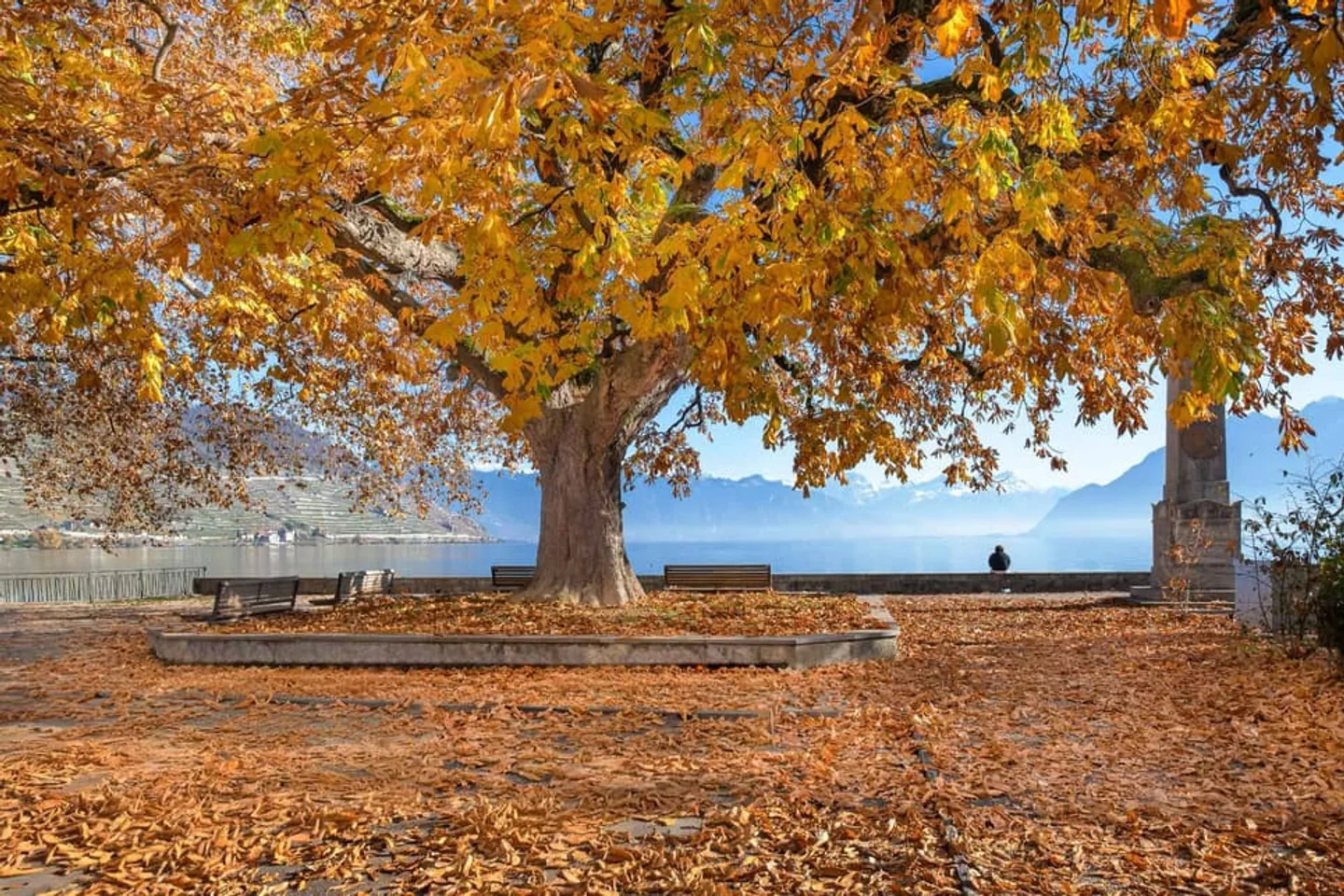 Charmant 3 pièces à deux pas du lac à Cully - Photo 9 sur 10