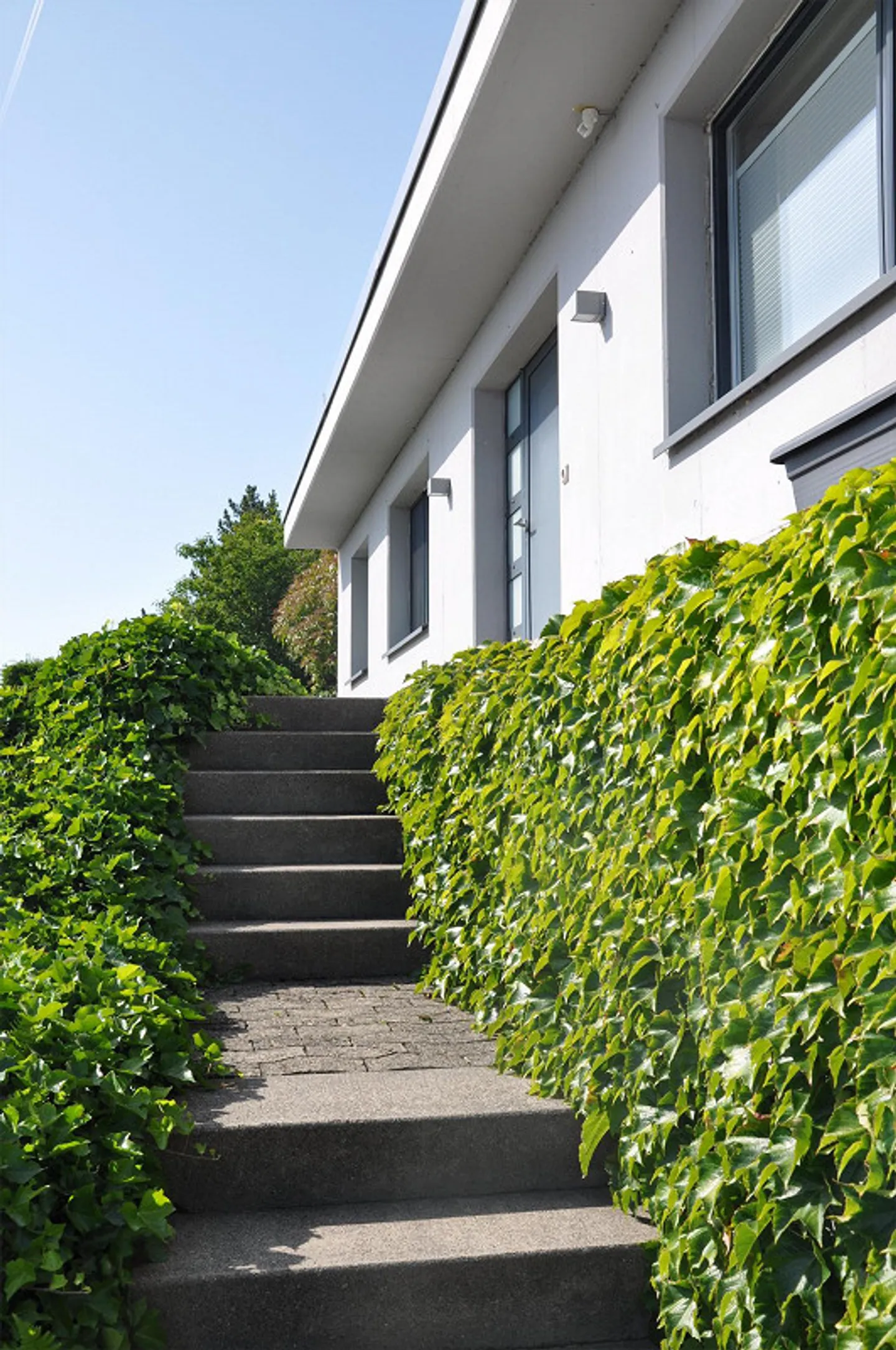 Appartement en loft à Uetliburg - Photo 1 sur 7