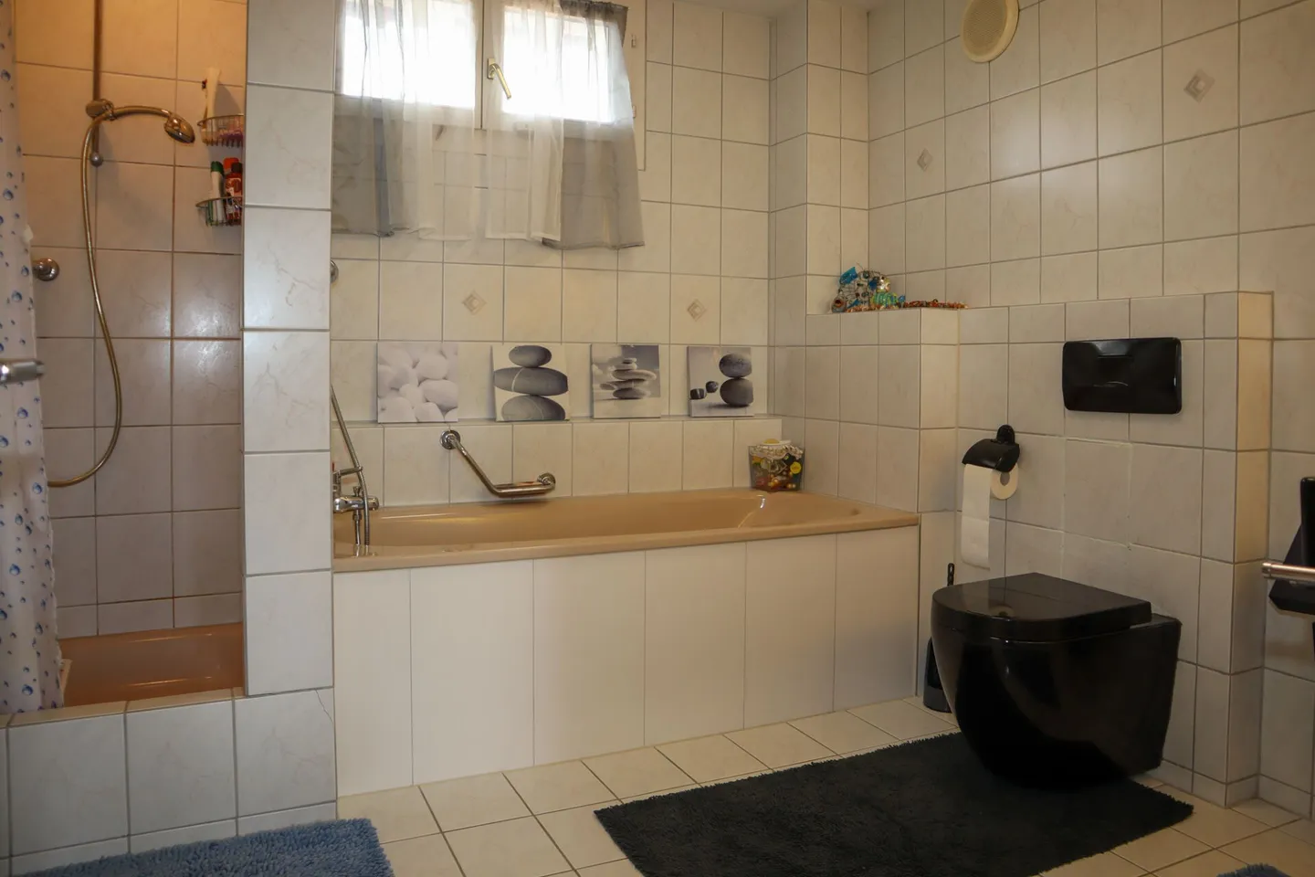 6 1/2 Room Single Family House with Small Apartment - Photo 11 of 14