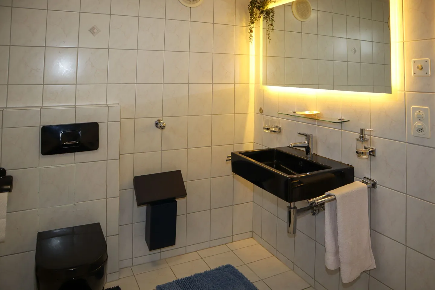 6 1/2 Room Single Family House with Small Apartment - Photo 12 of 14