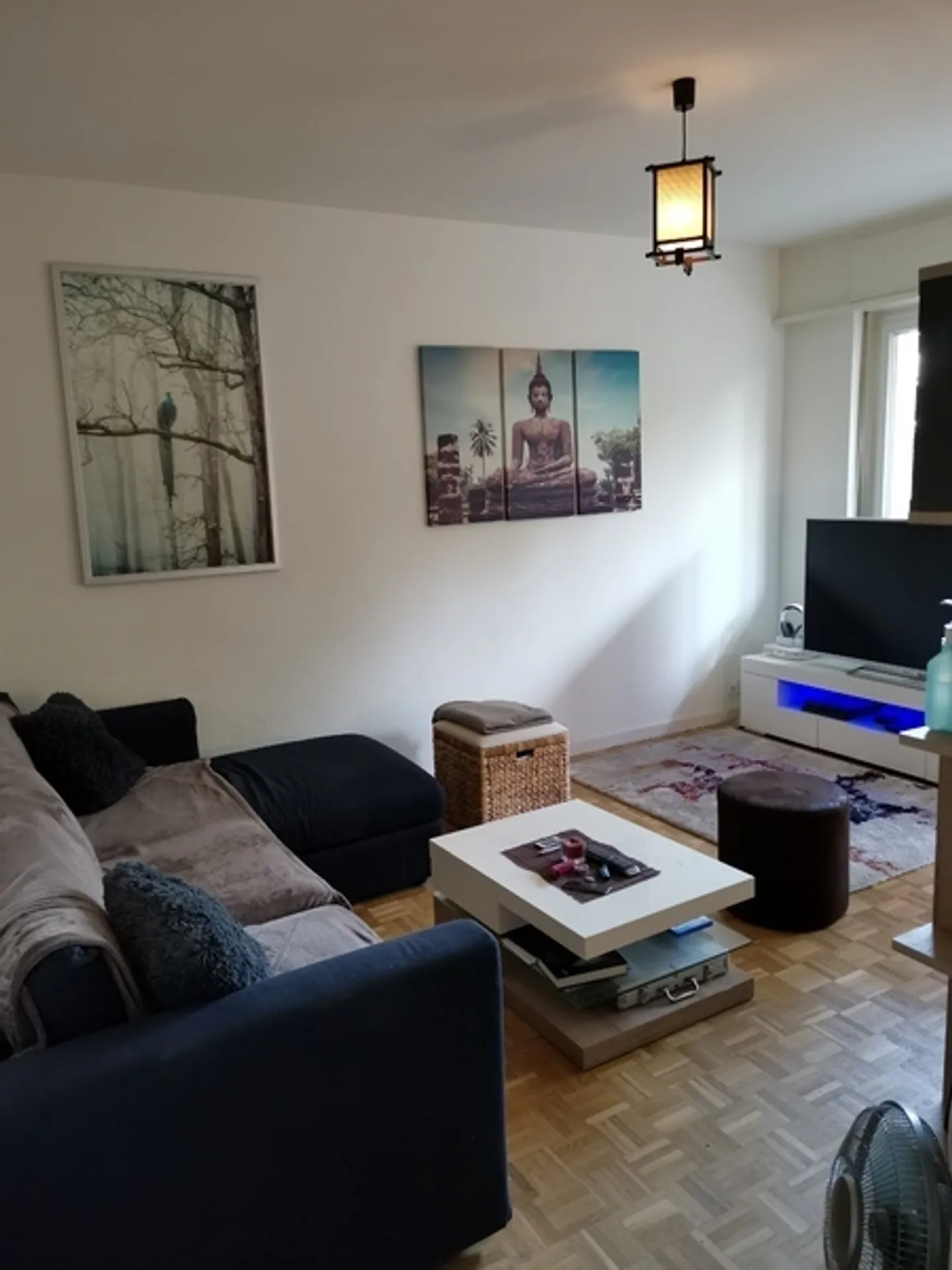 3-ZIMMER-WOHNUNG IN MEYRIN (GE), MÖBLIERT, BEFRISTET - Foto 3 von 10