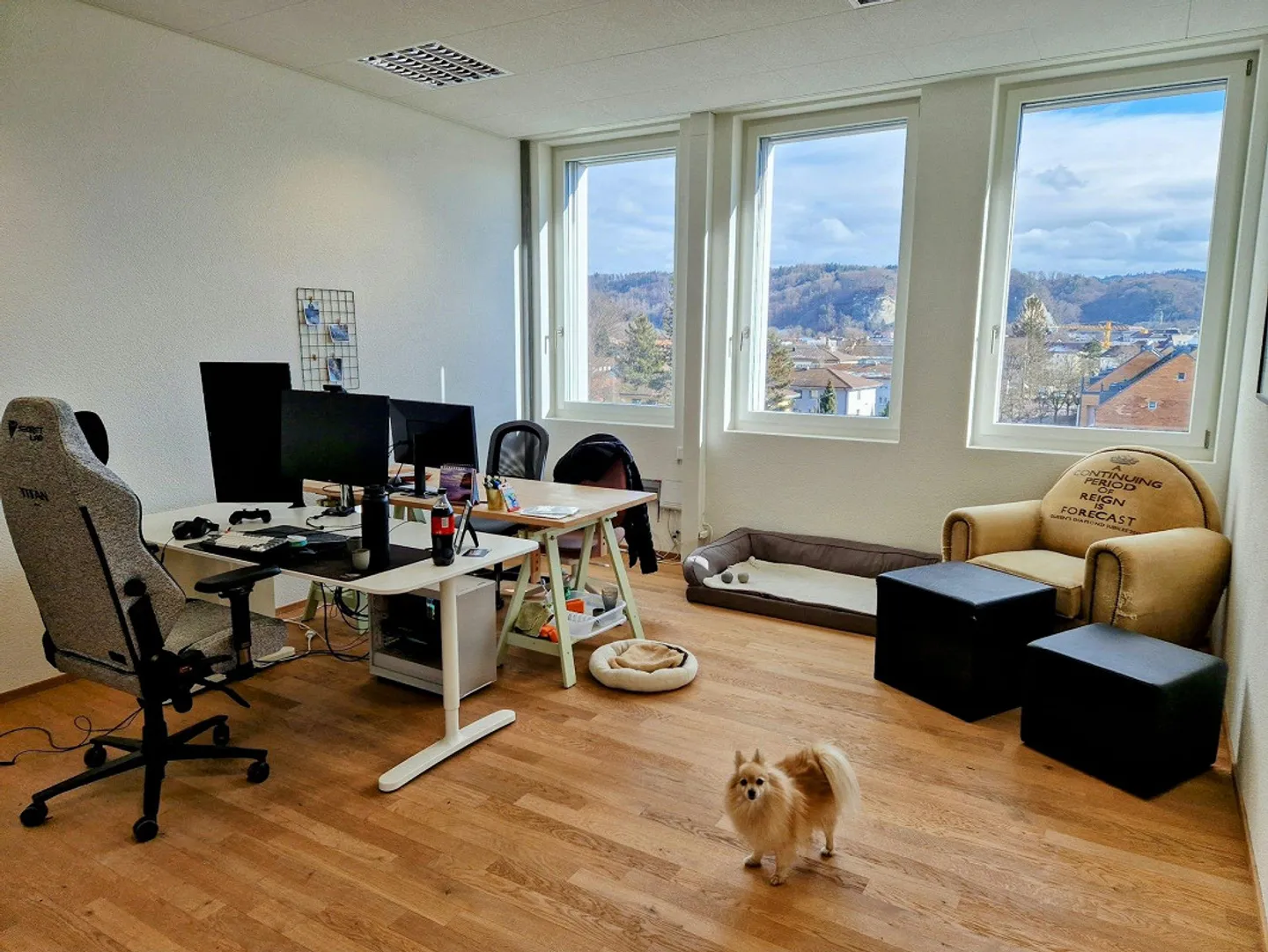 Spazi commerciali e di pratica versatili a Burgdorf - Foto 1 di 3