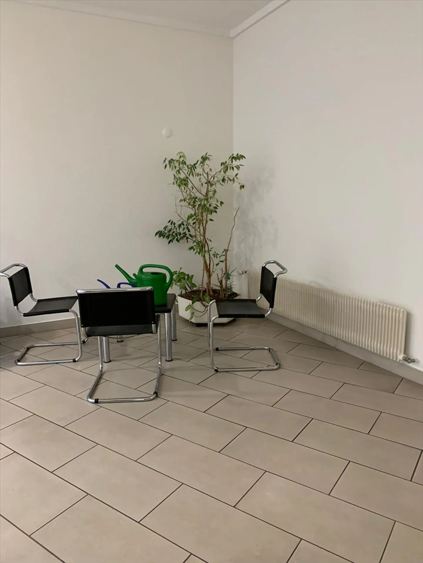 Geräumige, renovierte Räumlichkeiten mit Lastenaufzug. Ideale Fläche für Ausstellungen - bu - Foto 9 von 13