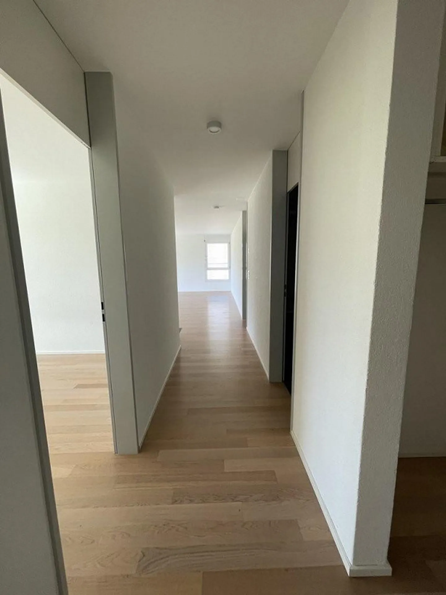 Vivere modernamente nel Neumattpark - Foto 7 di 8