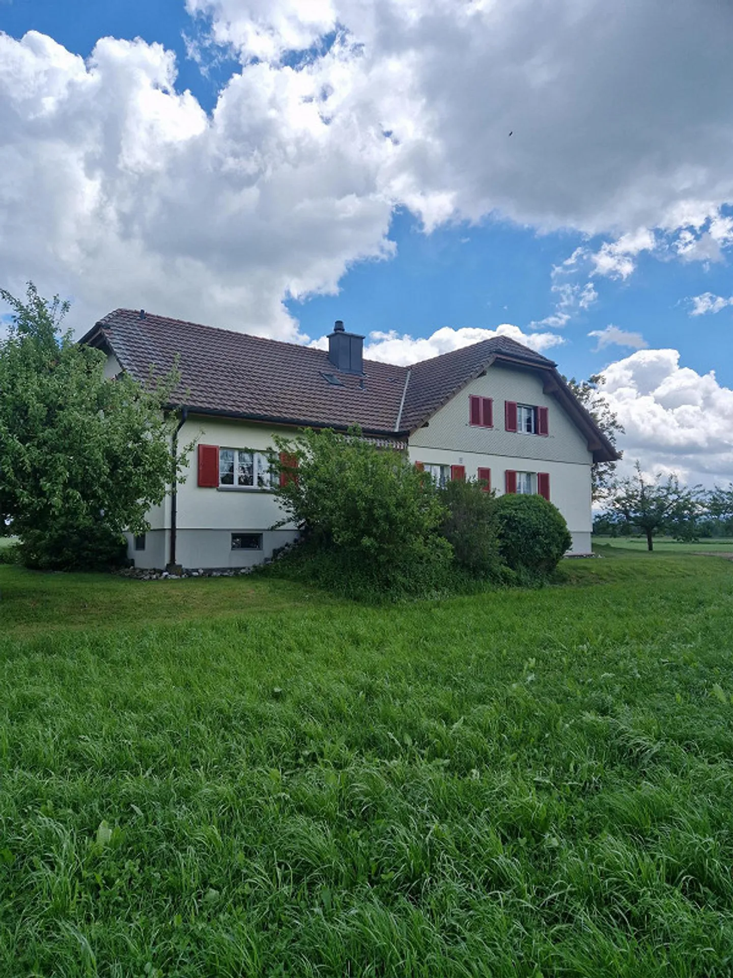 Charmante 3½-Zimmerwohnung - Foto 1 von 13