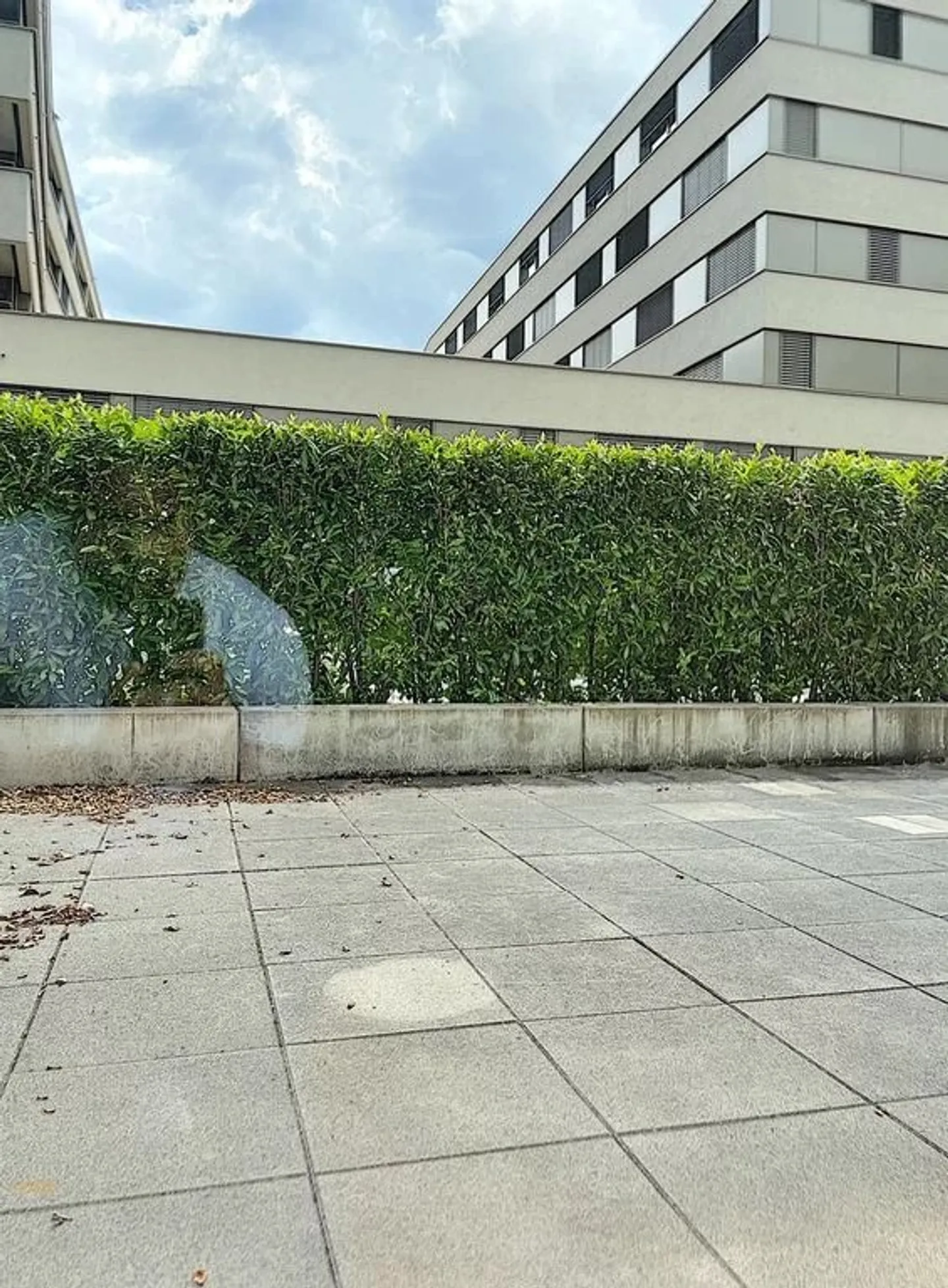 1,5-Zimmer-Wohnung - Foto 3 von 4