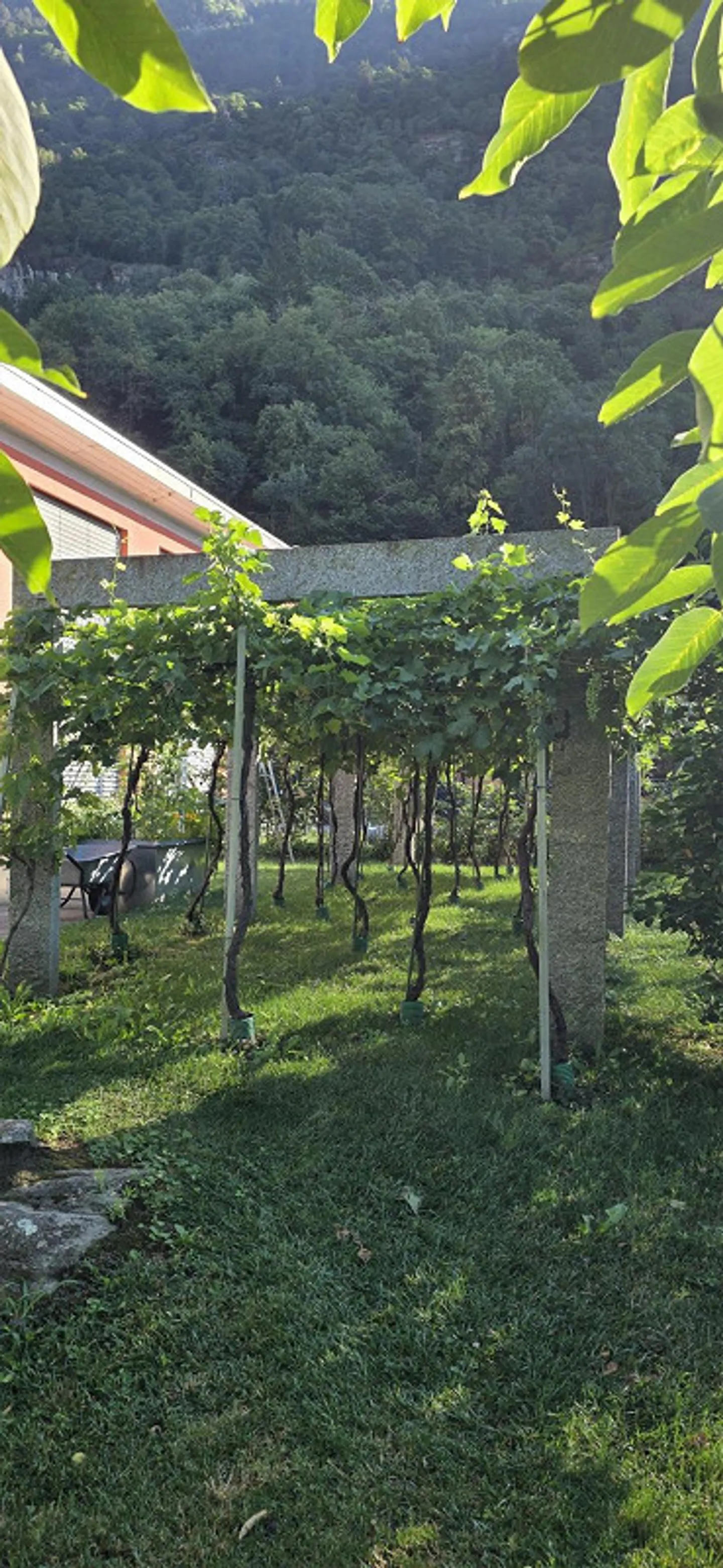 Appartamento moderno al piano terra per amanti della natura - Foto 5 di 8