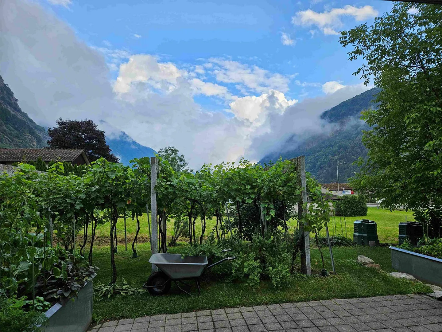 Appartamento moderno al piano terra per amanti della natura - Foto 6 di 8