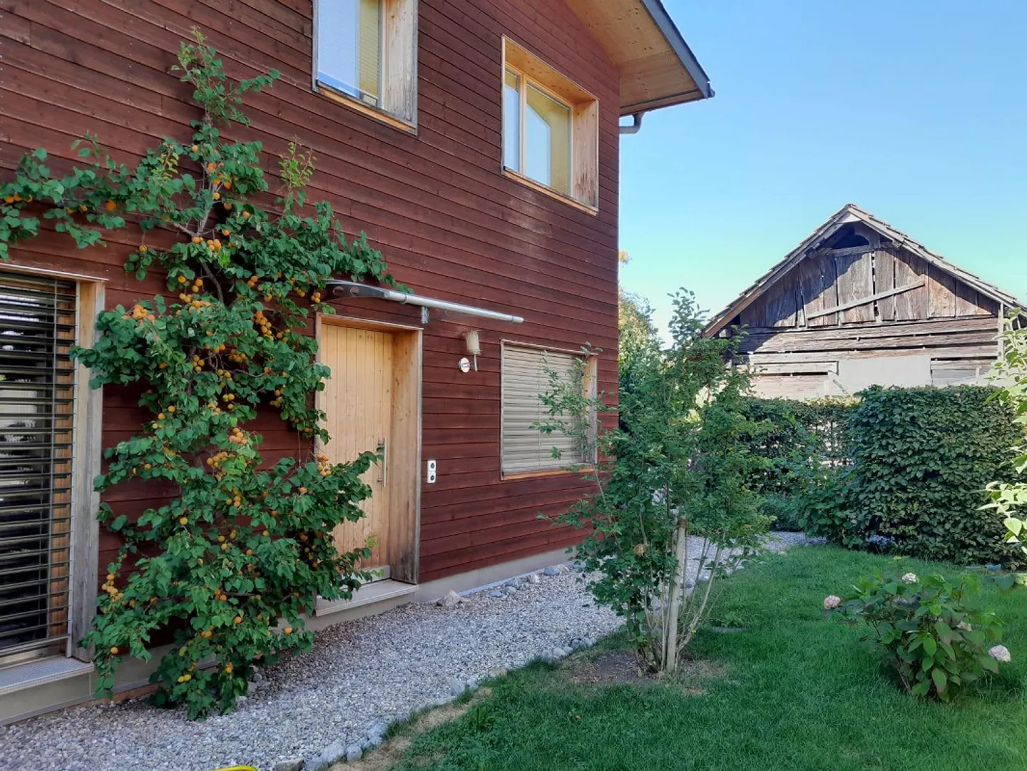 Cozy 2 1/2-room apartment in Sachseln - Photo 2 of 2