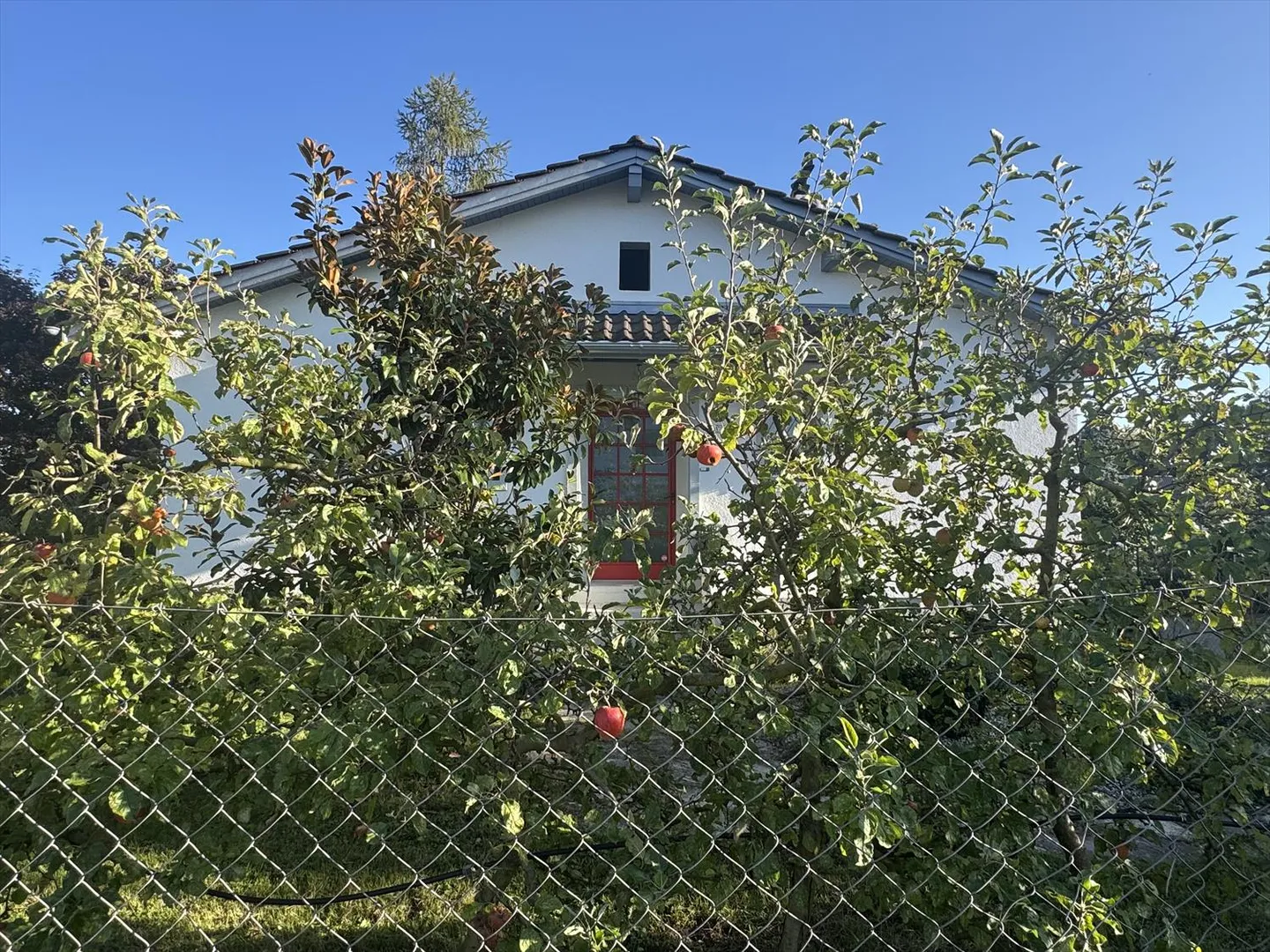 Appartamento 4.5 stanze - Foto 1 di 1