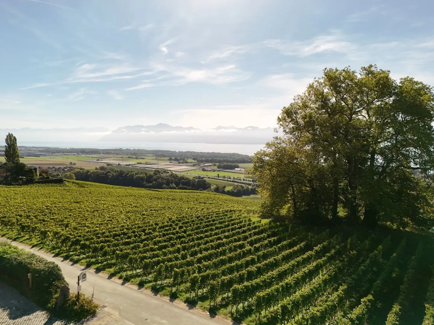 Single house for sale - Photo 2 of 10